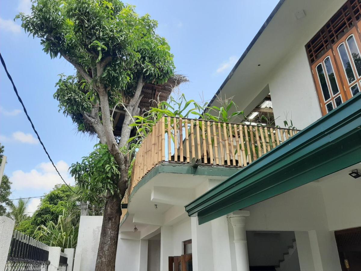 Apartmán Mangohut Joy Anuradhápura Exteriér fotografie