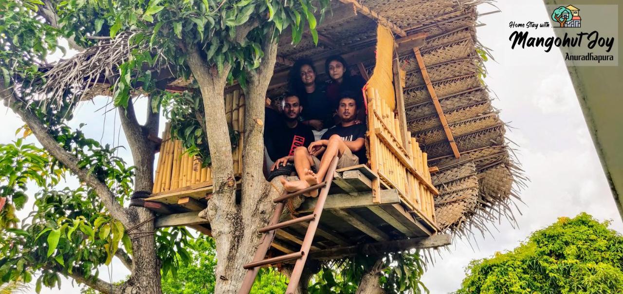 Apartmán Mangohut Joy Anuradhápura Exteriér fotografie